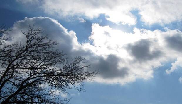 شکسته شدن رکورد گرمای بهمن‌ماه در رشت و لاهیجان