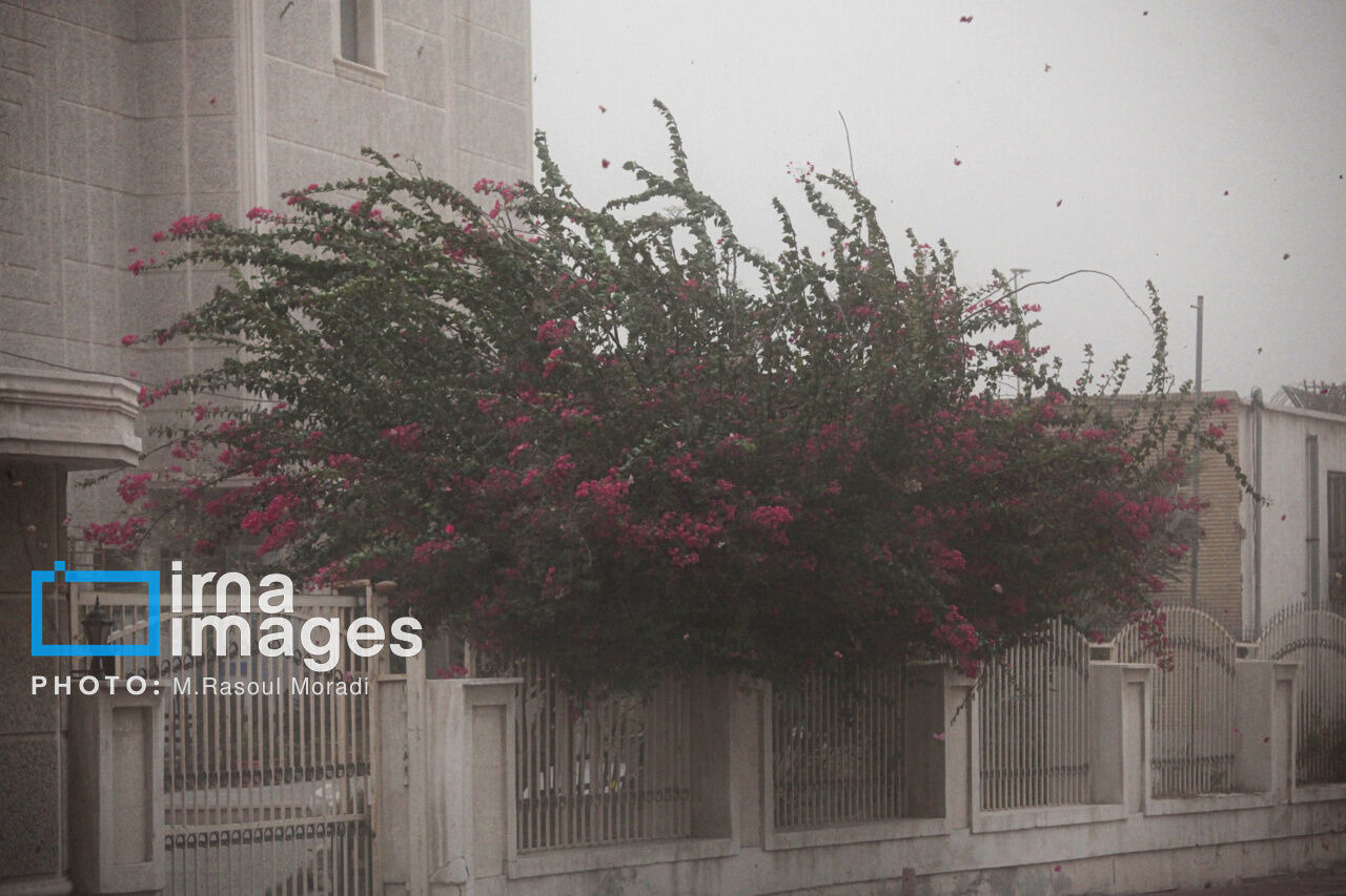 هشدار وزش بادگرم شدید تا خیلی شدید در گیلان