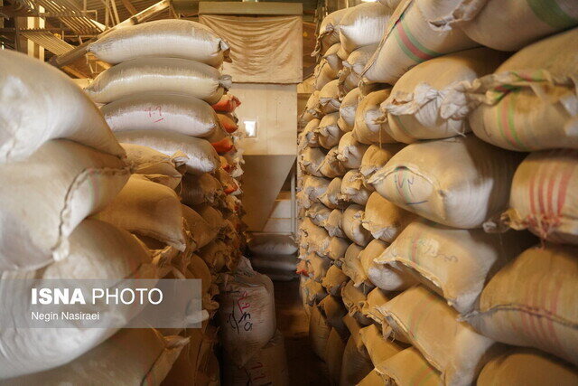 ۹۵ تن برنج ایرانی احتکاری در رشت کشف شد