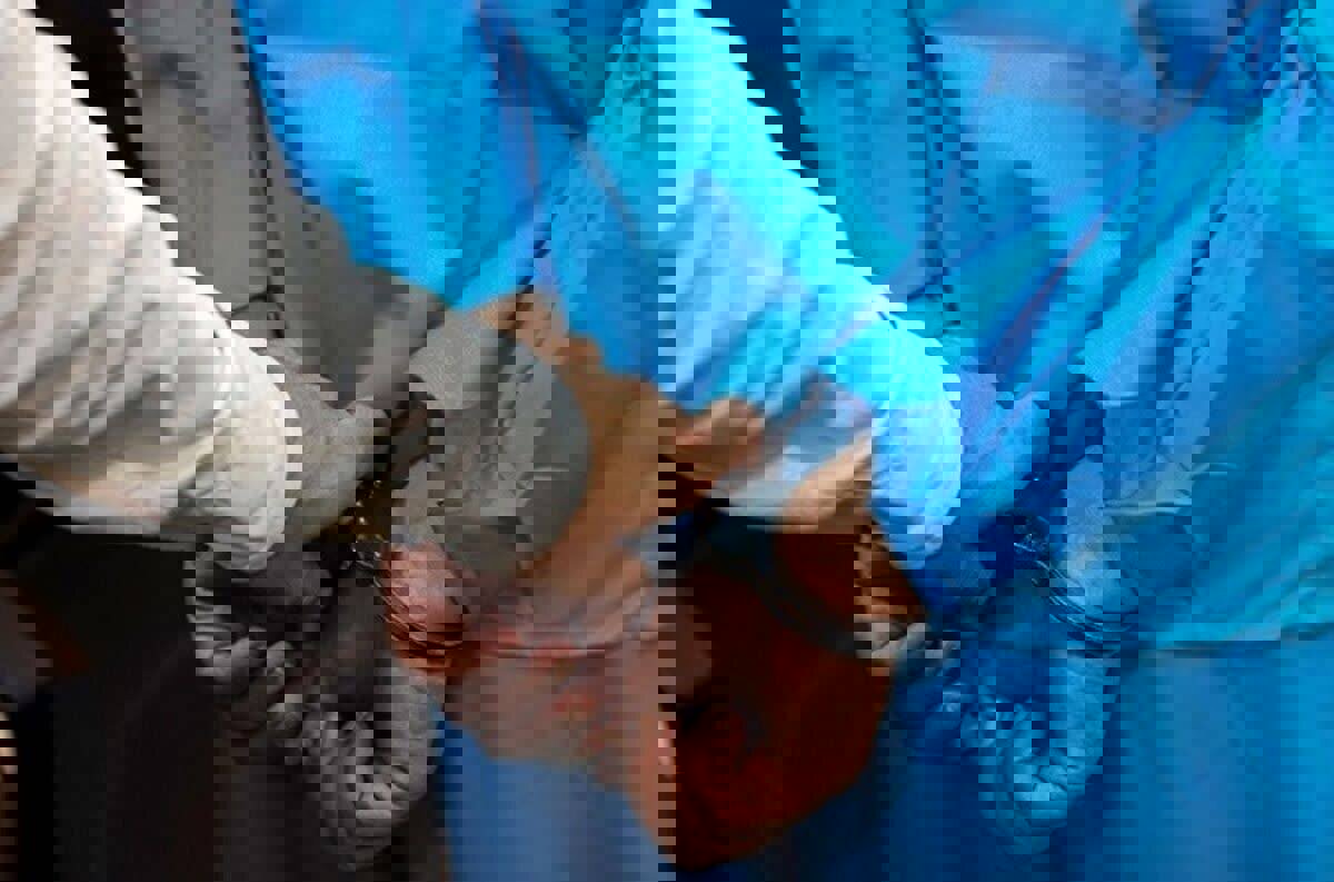 عاملان تیراندازی در رضوانشهر دستگیر شدند