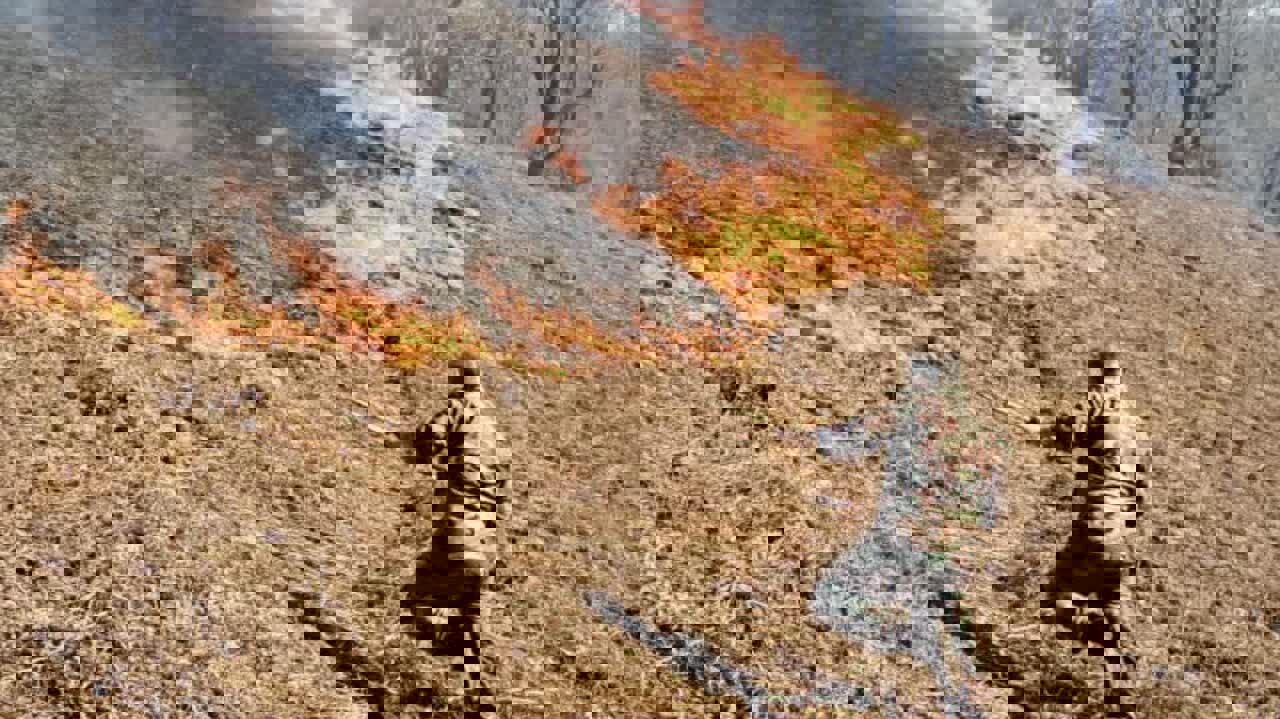 قمی: آتش‌سوزی در ۲ هکتار از اراضی جنگلی آستارا مهار شد