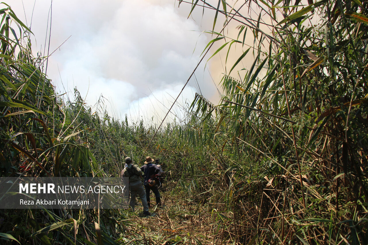 مهار حریق گسترده در تالاب انزلی پس از ۸ ساعت تلاش بی‌وقفه