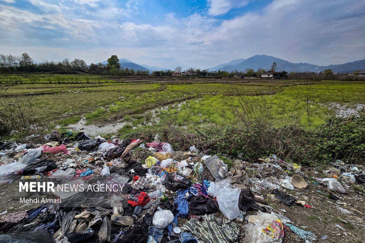 تقی زاده: ۱۵ دهیار خاطی در رشت راهی دادگاه شدند
