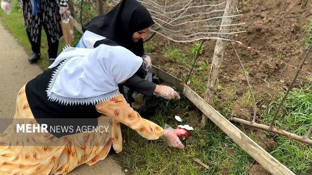 نسیم گیلان