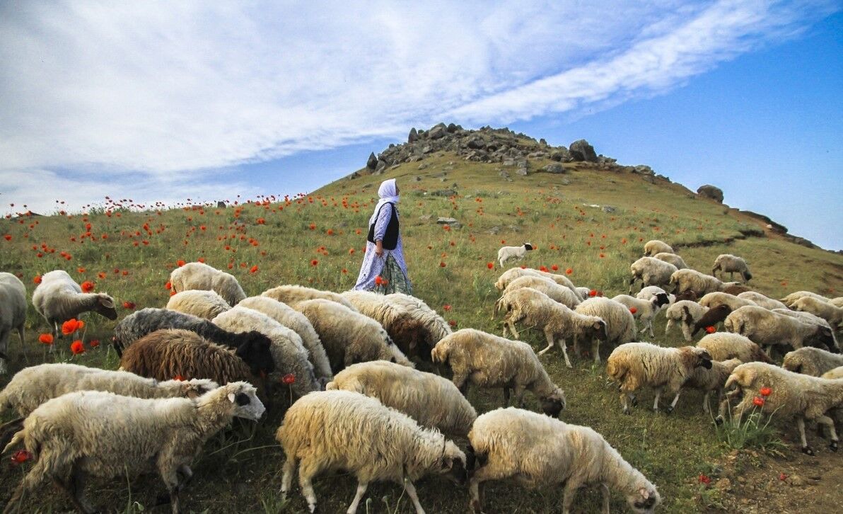 آسمان صاف تا نیمه ابری وضعیت جوی گیلان است