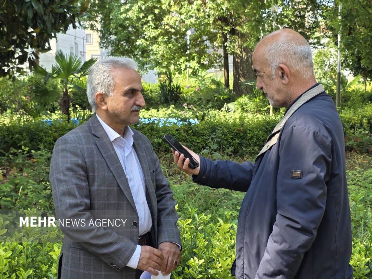 جهانساز: ۶۶ درصد از مطالبات چایکاران شمال کشور پرداخت شده است