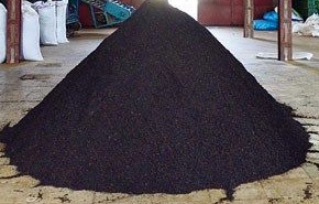 انهدام ۳۰ تن چای تاریخ مصرف گذشته در لاهیجان