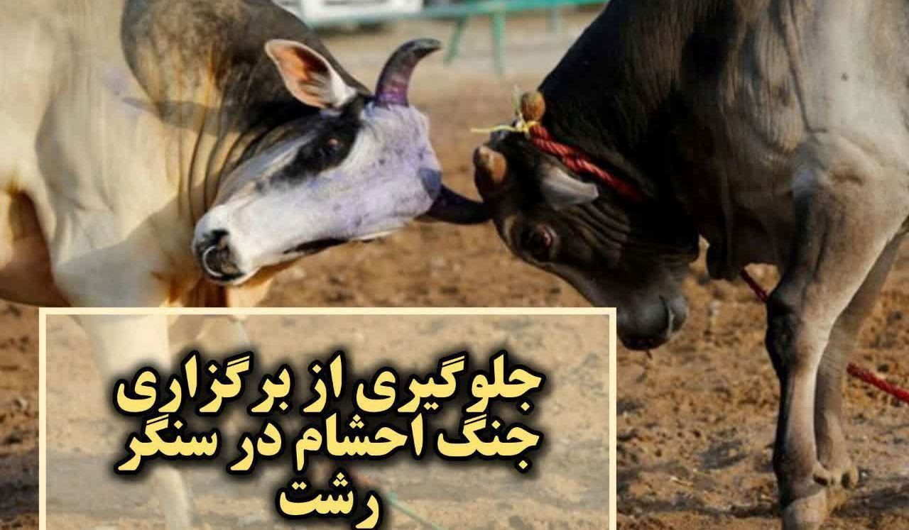 نسیم گیلان