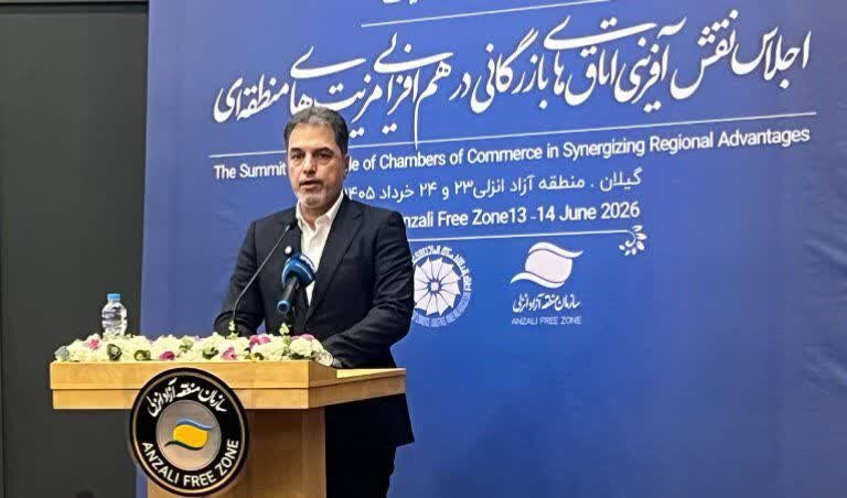 باقری: ۶ گلوگاه تجاری در استان‌ های شمالی کشور شناسایی شده است