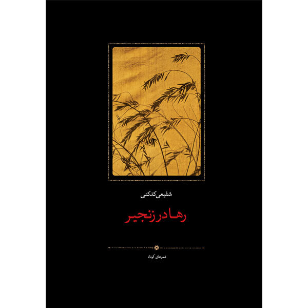 نسیم گیلان