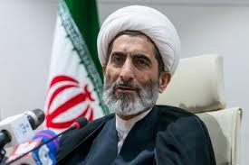 اظهارات معاون قوه قضائیه درباره بازگشت ایرانی‌های خارج کشور به وطن؛ کسانی که پرونده ندارند نگران نباشند