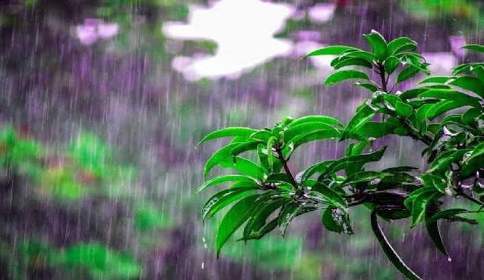زورآزمایی رگبار‌های بهاری گیلان چند قدم مانده به تابستان