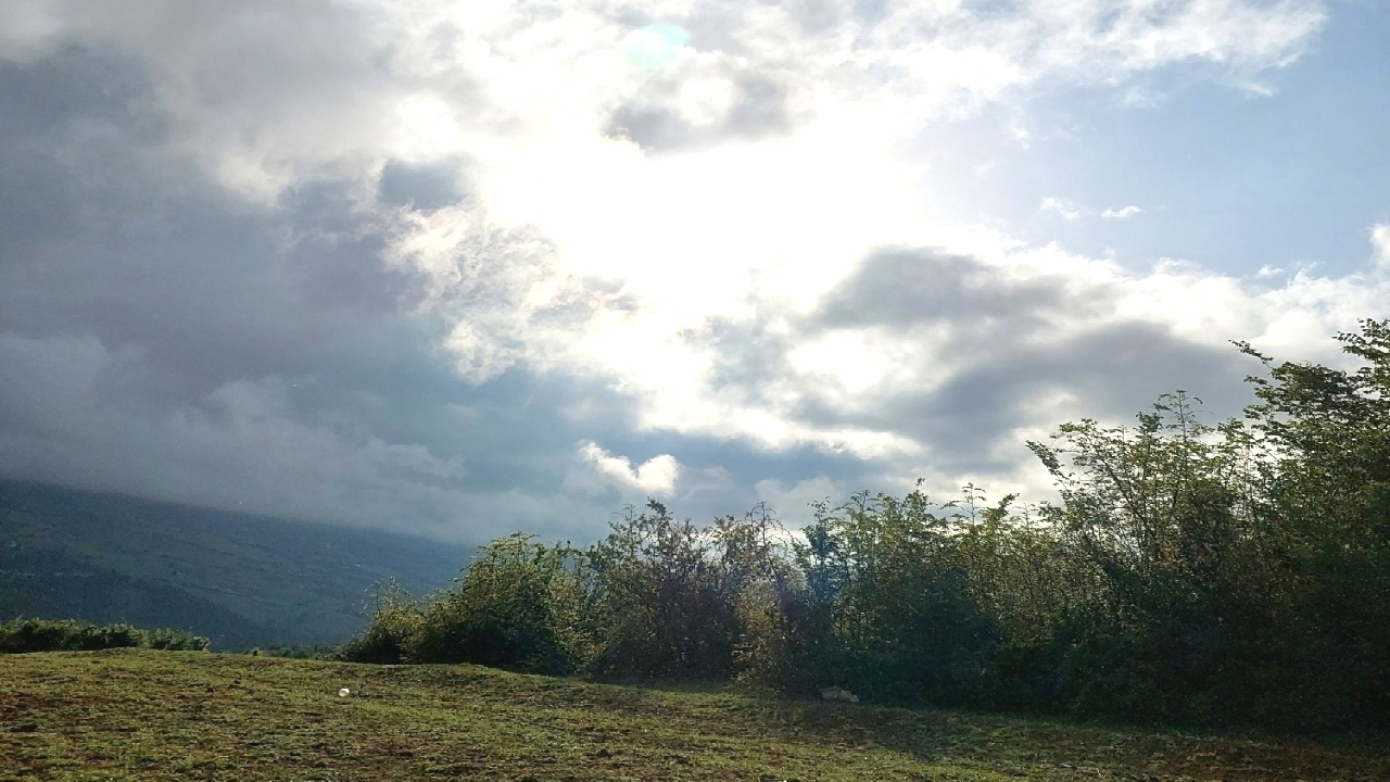 نسیم گیلان