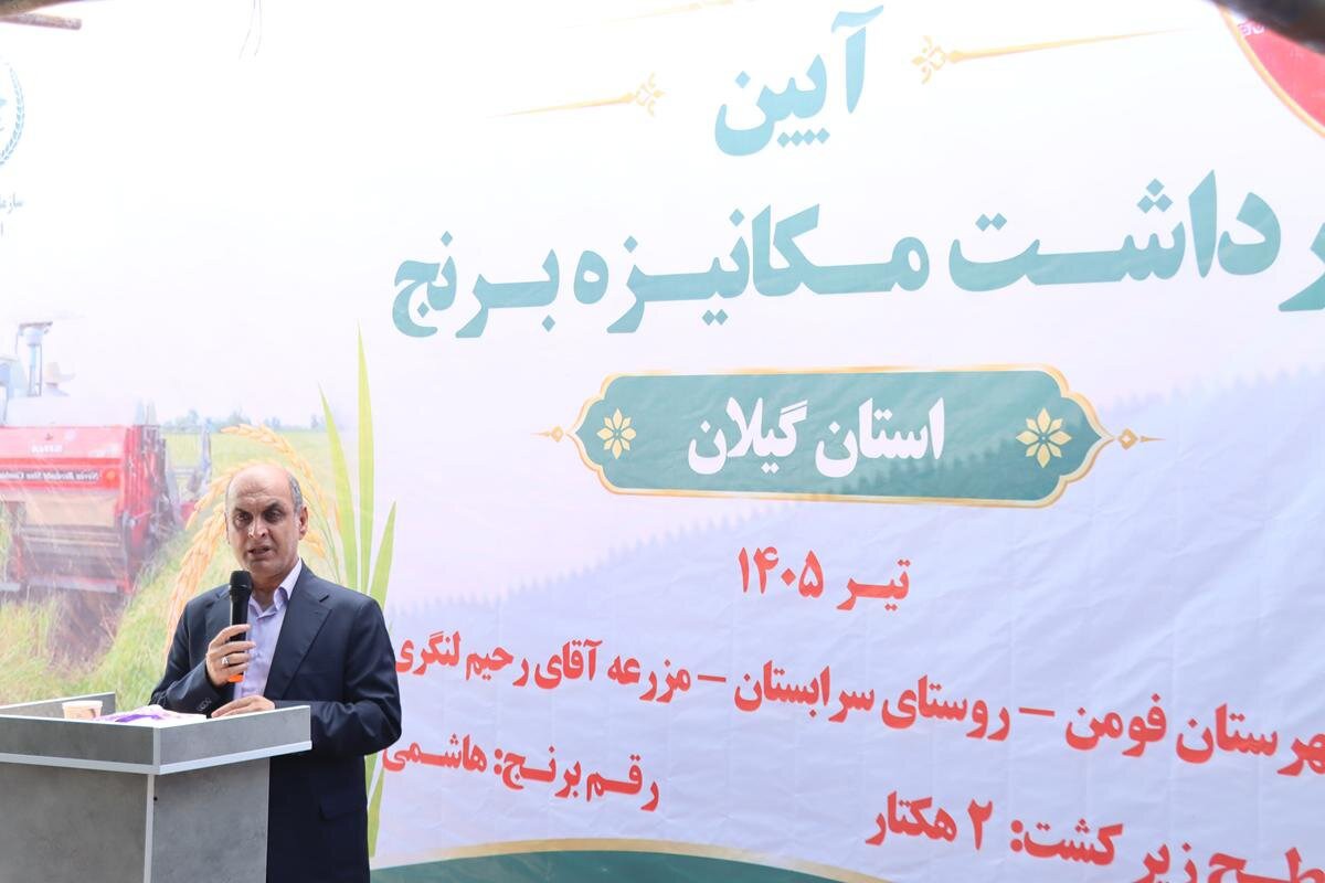 استاندار گیلان: بهره‌وری راه اقتصادی شدن تولید برنج است