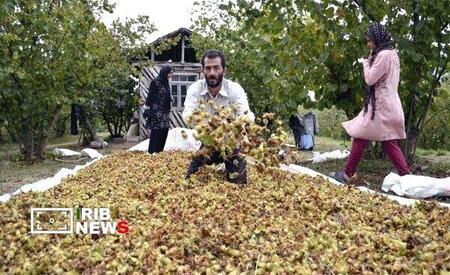نسیم گیلان