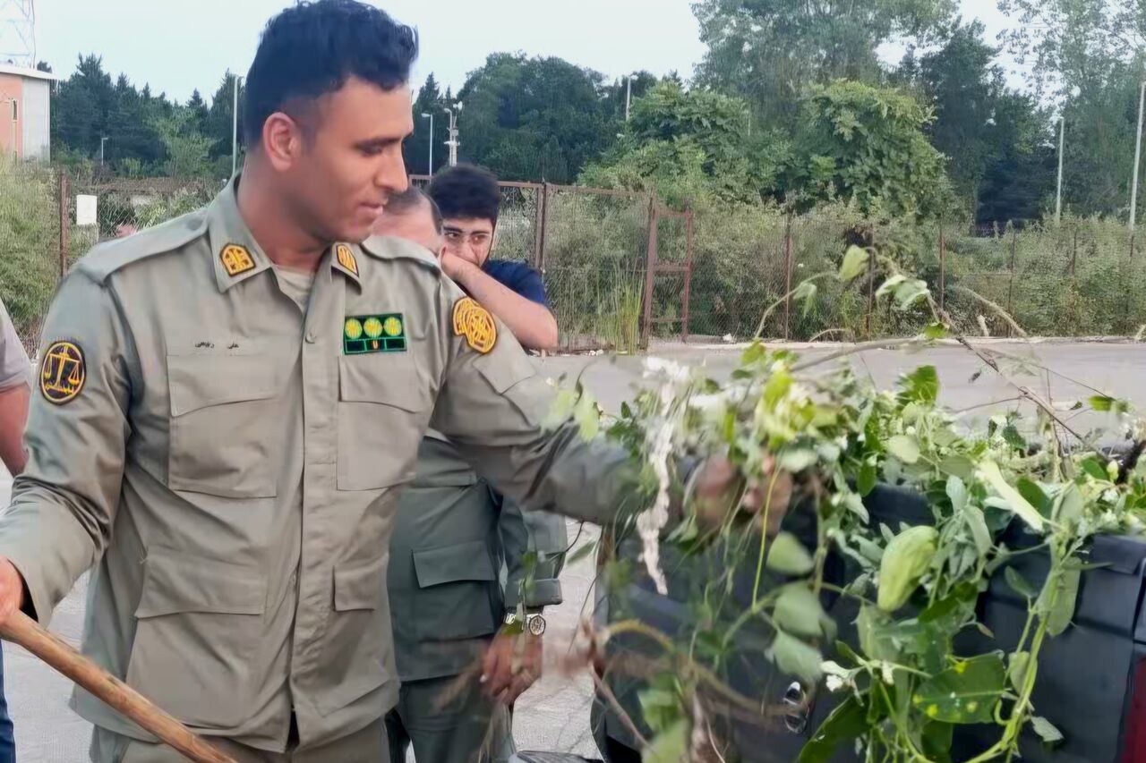 پاکسازی بخشی از اراضی پارک ملی بوجاق از گیاه مهاجم «آروجیا» آغاز شد
