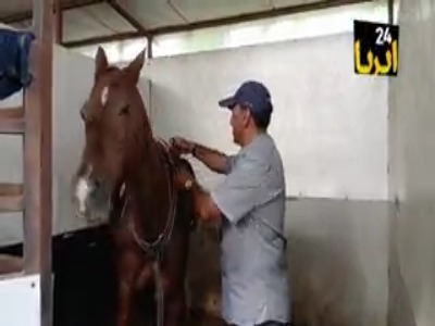 جهش استعدادهای سوارکاری همدان | آخرین خبر