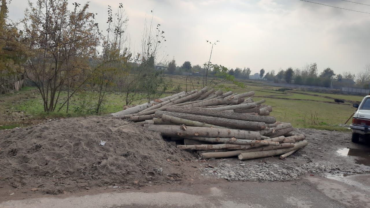 نسیم گیلان