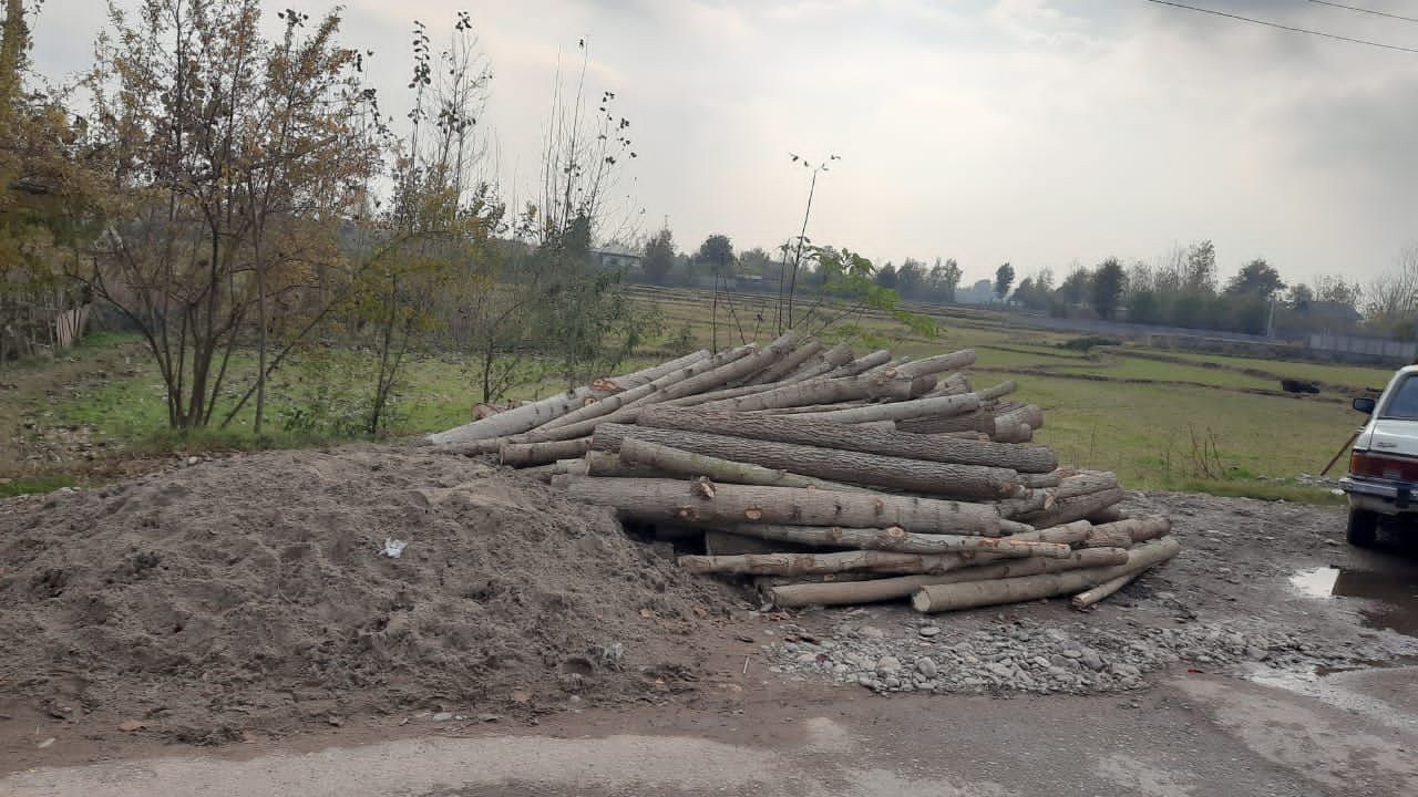 کشف ۱۷ تن چوب قاچاق در آستانه اشرفیه