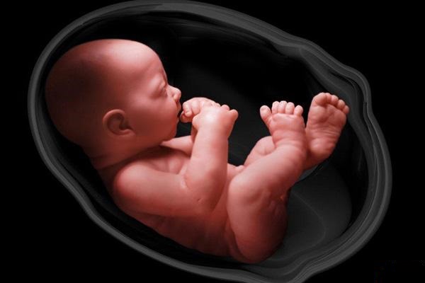خطر پنهان ویپ برای جنین؛ آزمایش‌ها چه چیزی را نشان دادند؟ | آخرین خبر