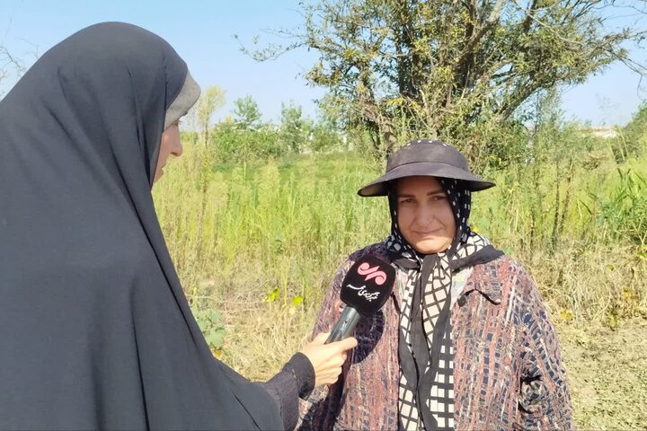 نسیم گیلان