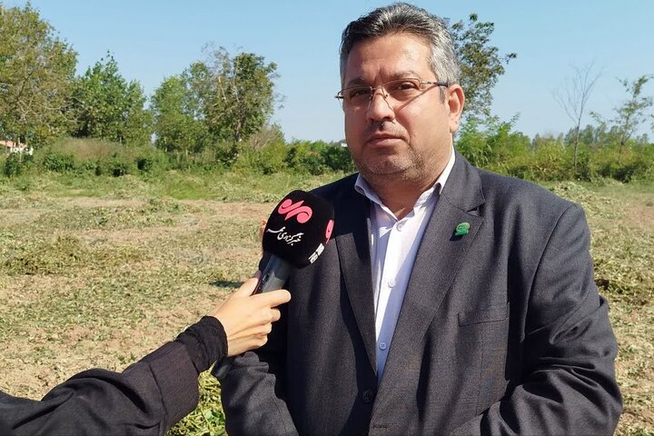 نسیم گیلان
