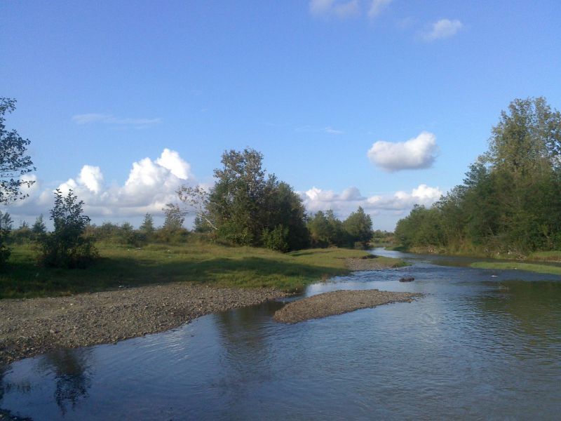 نسیم گیلان