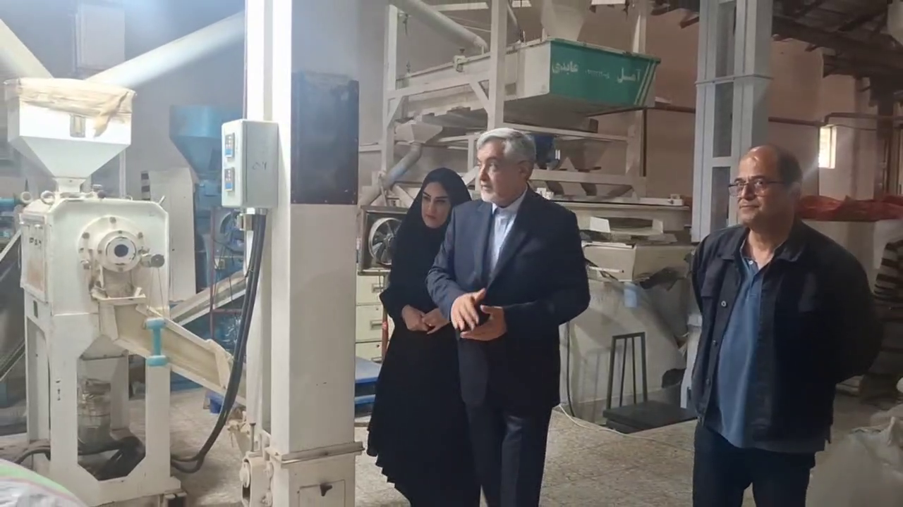 نسیم گیلان