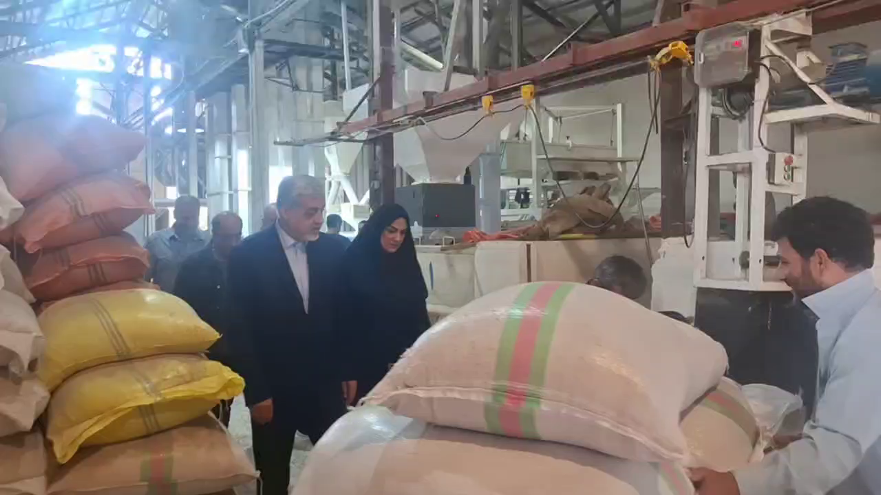نسیم گیلان