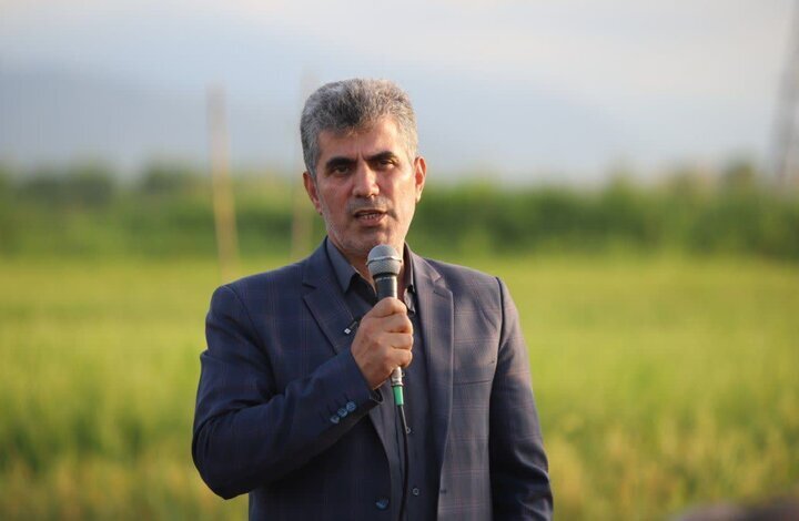 نسیم گیلان