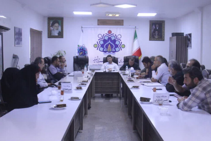 نسیم گیلان