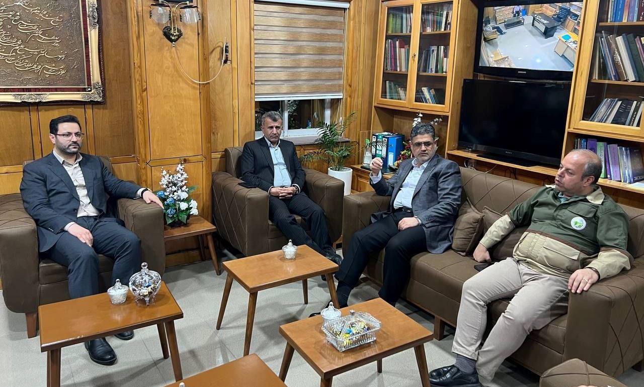 نسیم گیلان