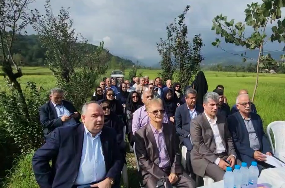 نسیم گیلان