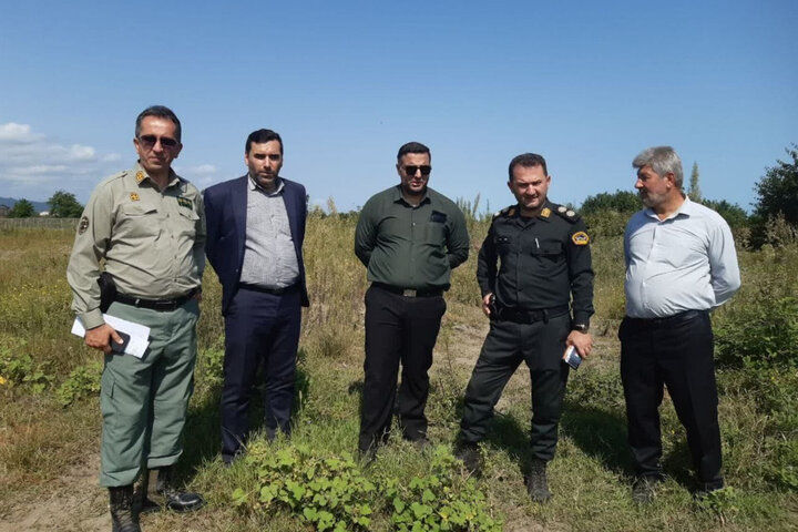 نسیم گیلان