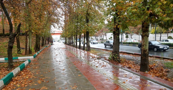 نسیم گیلان