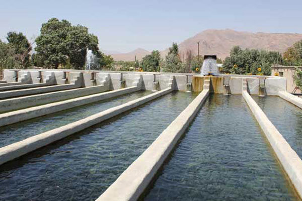 بازار پاکستان، مقصدی برای توسعه صادرات کشاورزی و شیلات ایران