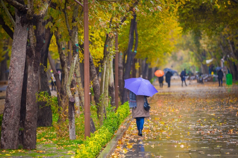 نسیم گیلان