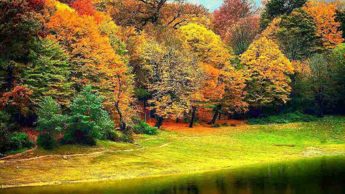 نسیم گیلان