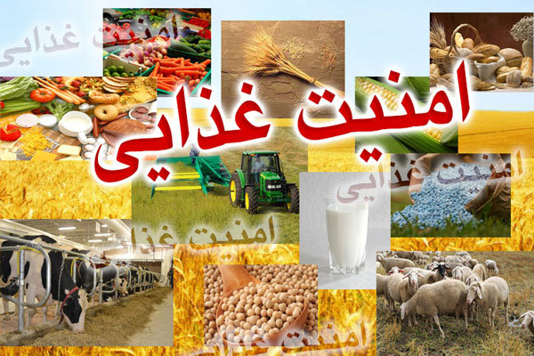 نسیم گیلان
