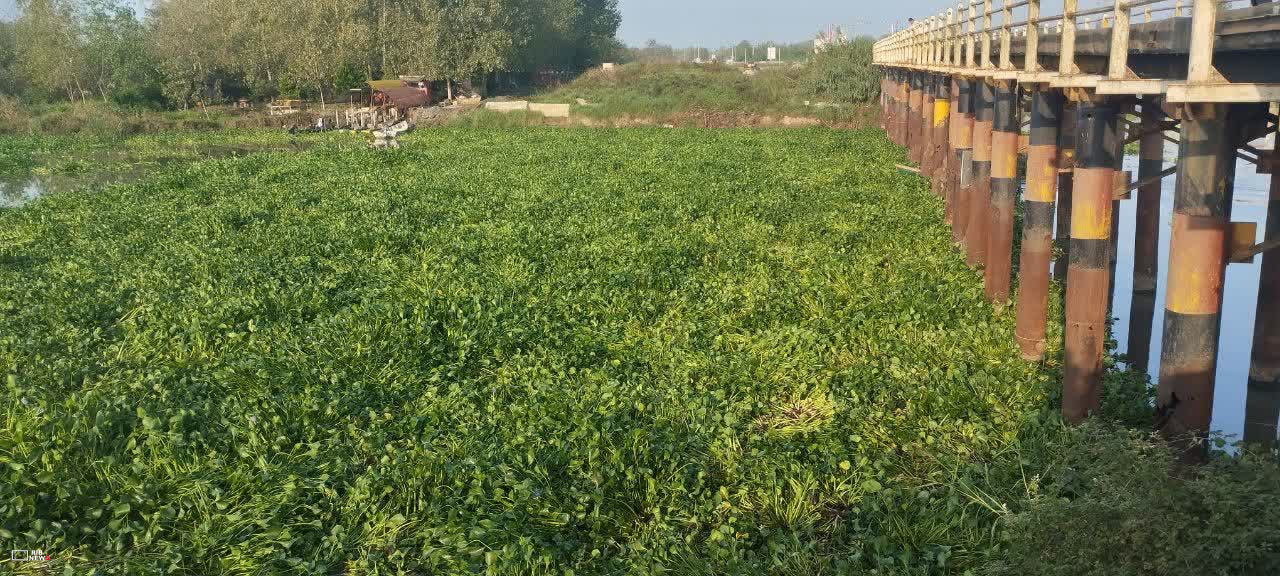 نسیم گیلان