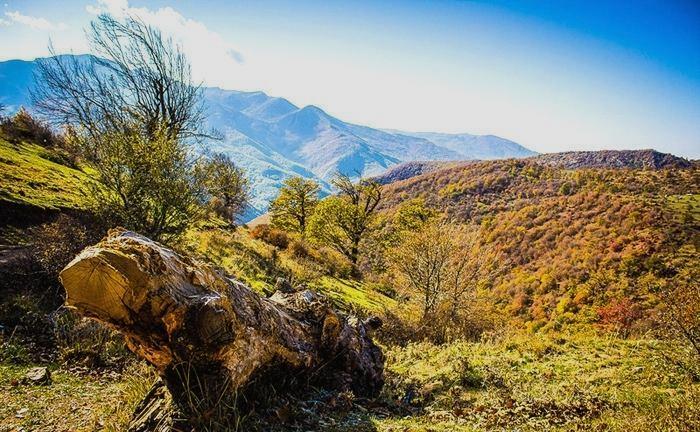 نسیم گیلان